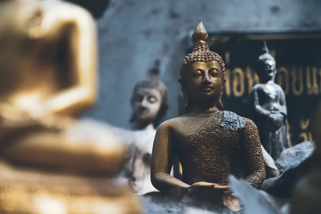 A Unique and Informative Guide to Sri Lanka