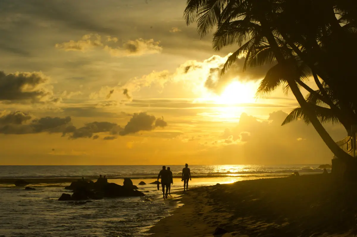 Discover the enchanting beauty of Unawatuna Beach